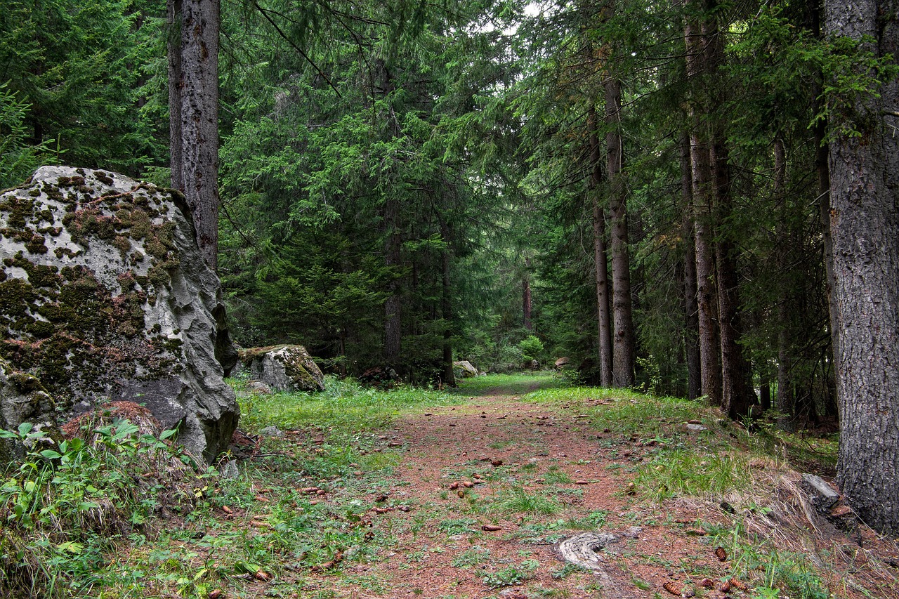 Clarifier le terrain pour mieux l’entretenir et le valoriser