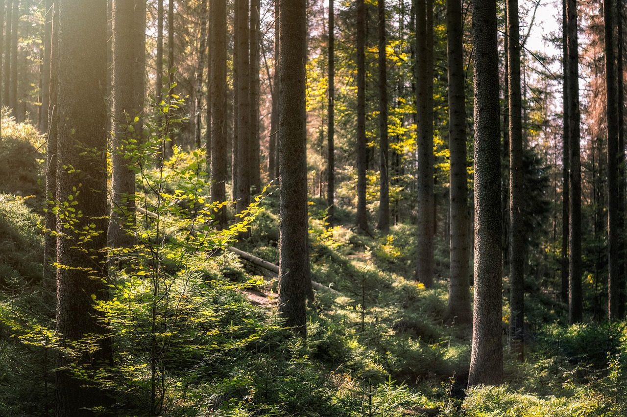 Nettoyer après intervention pour repartir sur une base saine