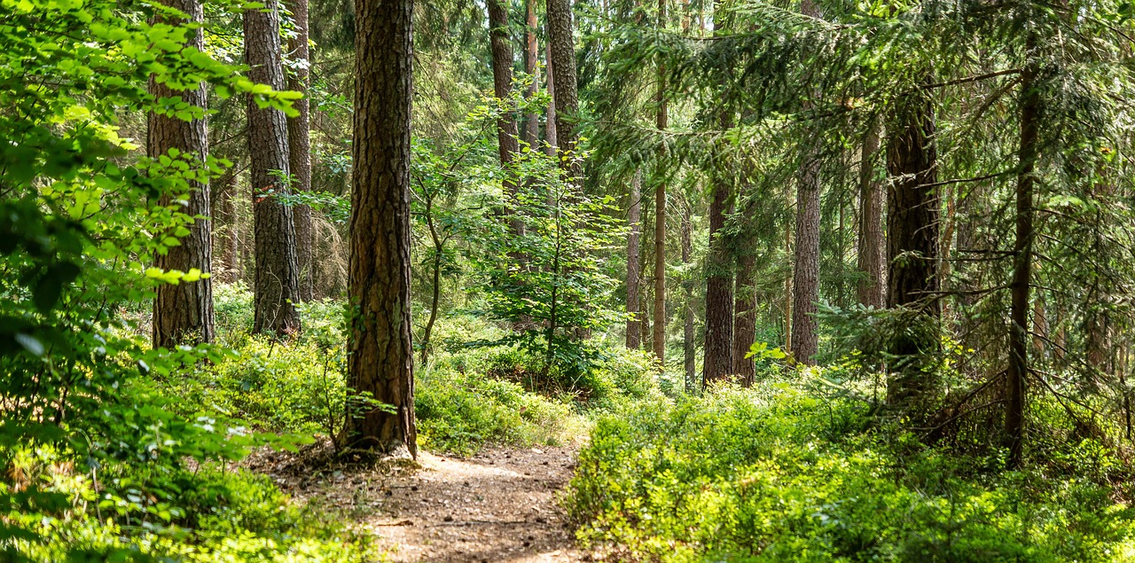 Préparation de terrains sous contraintes techniques ou pour des projets professionnels