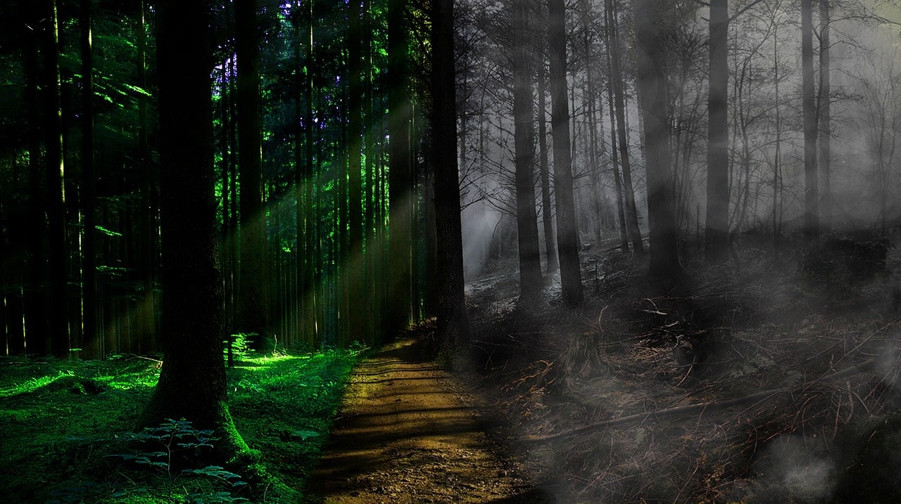 Respecter le terrain, les sols et le vivant