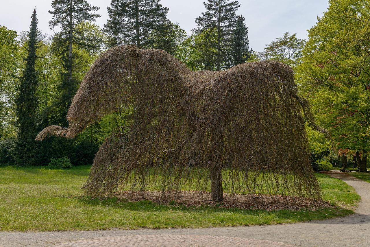 Décider de l’abattage après une analyse précise du terrain